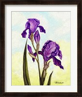 Framed Irises