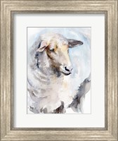 Framed Watercolor Sheep I
