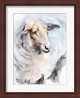 Framed Watercolor Sheep I