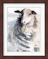 Framed Watercolor Sheep II