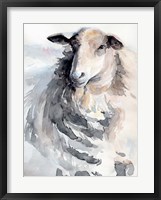 Framed Watercolor Sheep II