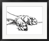 Framed Linear Paws I