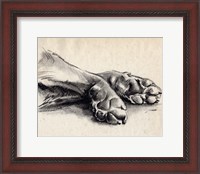 Framed Charcoal Paws II