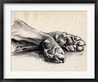 Framed Charcoal Paws II