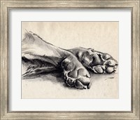 Framed Charcoal Paws II
