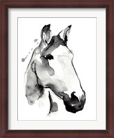 Framed White Stallion I