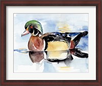 Framed Watercolor Woodduck I