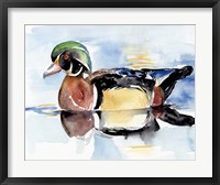 Framed Watercolor Woodduck I