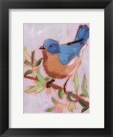 Framed Painted Songbird I