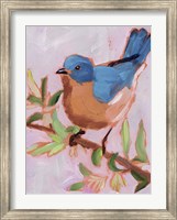 Framed Painted Songbird I