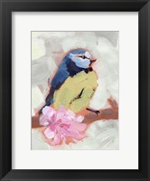 Framed Painted Songbird II