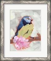Framed Painted Songbird II