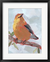 Framed Painted Songbird III