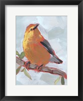 Framed Painted Songbird III