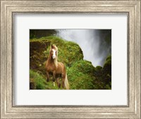 Framed Collection of Horses I