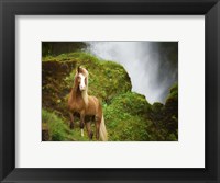 Framed Collection of Horses I