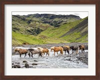 Framed Collection of Horses II