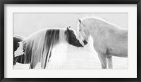 Framed Collection of Horses III