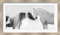 Framed Collection of Horses III