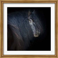 Framed Collection of Horses VI