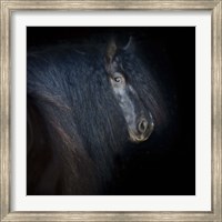 Framed Collection of Horses VI