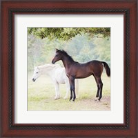 Framed Collection of Horses VII
