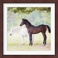 Framed Collection of Horses VII