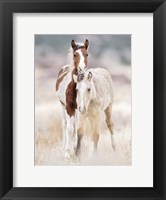Framed Collection of Horses X