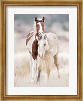 Framed Collection of Horses X