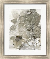 Framed Birch Leaves I