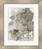 Framed Birch Leaves I