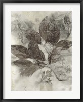 Framed Dogwood Leaves II