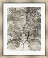 Framed Multi Leaves II