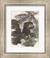 Framed Oak Leaves