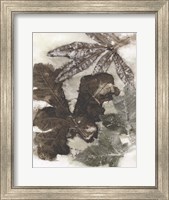 Framed Oak Leaves