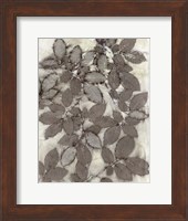 Framed Rose Leaves