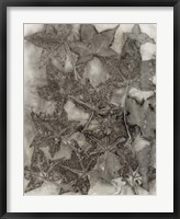 Framed Sweet Gum Leaves