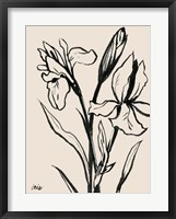 Framed Iris Sketch IV