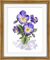 Framed Viola Pansies I