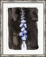 Framed Blue Delphinium II