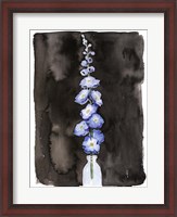 Framed Blue Delphinium II