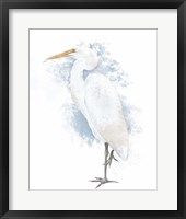Coastal Heron I Framed Print