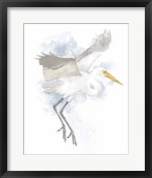 Coastal Heron II Framed Print