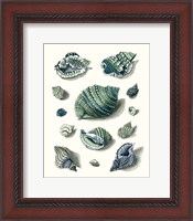 Framed Celadon Shells II