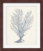 Framed Antique Coral Collection II
