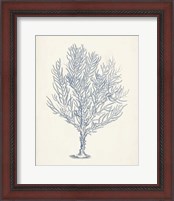 Framed 'Antique Coral Collection III' border=