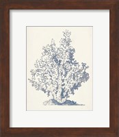 Framed 'Antique Coral Collection IV' border=