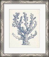 Framed 'Antique Coral Collection VI' border=