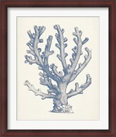 Framed Antique Coral Collection VI