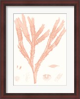 Framed Vivid Coral Seaweed II